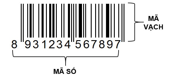 Cấu tạo một mã số mã vạch