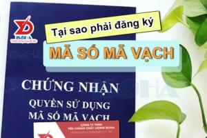 lý do phải đăng ký mã số mã vạch