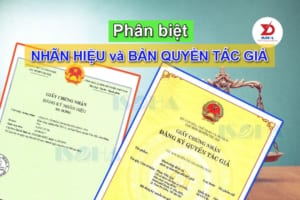 Phân biệt Nhãn hiệu hàng hóa và Bản quyền tác giả