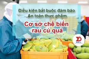 Điều kiện an toàn thực phẩm cho cơ sở chế biến rau củ quả