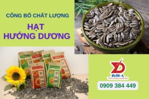 dịch vụ công bố hạt hướng dương trọn gói